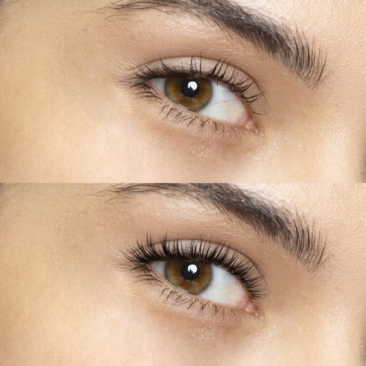 Lash Lift + Tint