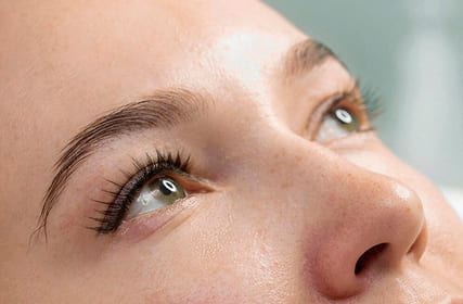 Lashes and Brows