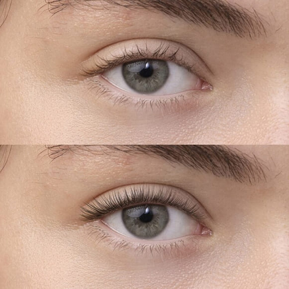 Lash Lift + Tint